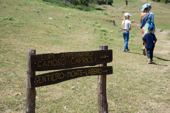 Parco Faunistico Del Monte Amiata